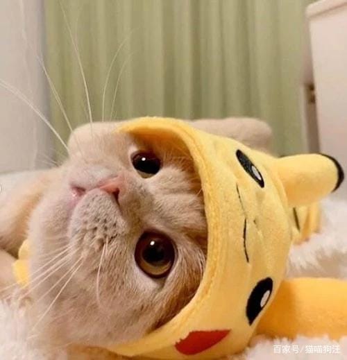 爱儿