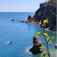 鎏姩
